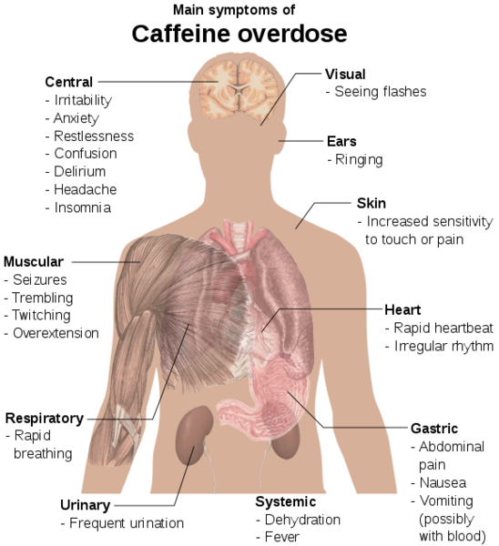 File:Main symptoms of caffeine overdose.png