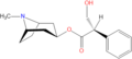 Atropine