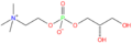 Alpha-GPC