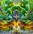 Salvia Dalinorum by Luke Brown