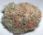 Whole flower and leaf is the most widely consumed form, containing 3% to 22% THC.[69][70]