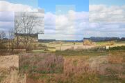 Cubism Field by Chelsea Morgan