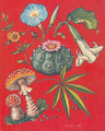 Thumbnail for version as of 18:52, 10 August 2025