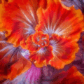 Thumbnail for version as of 18:48, 10 August 2025