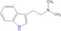 Thumbnail for version as of 18:42, 10 August 2025