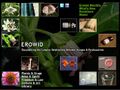Thumbnail for version as of 18:54, 10 August 2025