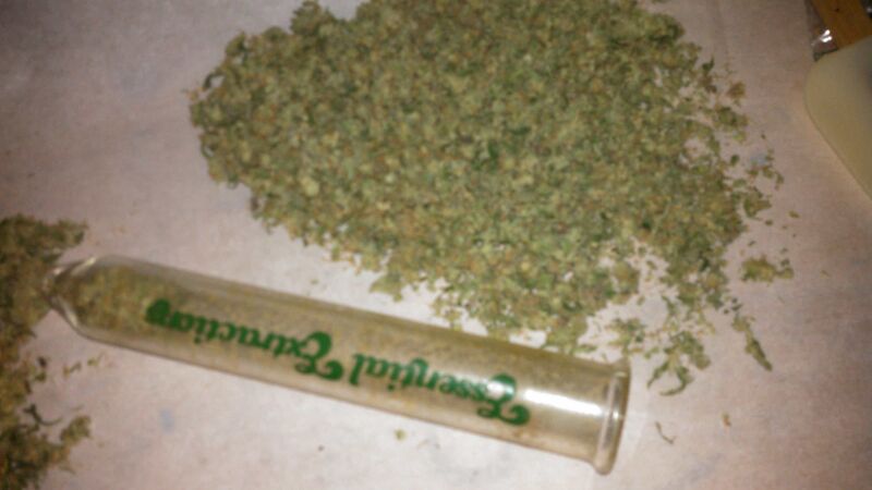 File:Ground flower.jpeg