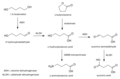 Thumbnail for version as of 18:52, 10 August 2025